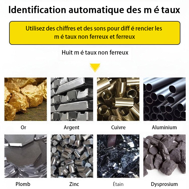 🤩RICH!!!✨Livraison gratuite✨Détecteur de métaux à haute sensibilité