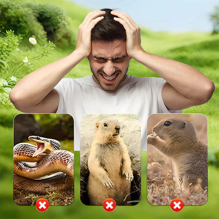 🌸Vente de printemps -50 %☘️Répulsif solaire étanche contre les souris