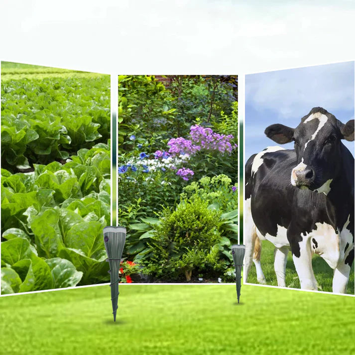 🌸Vente de printemps -50 %☘️Répulsif solaire étanche contre les souris