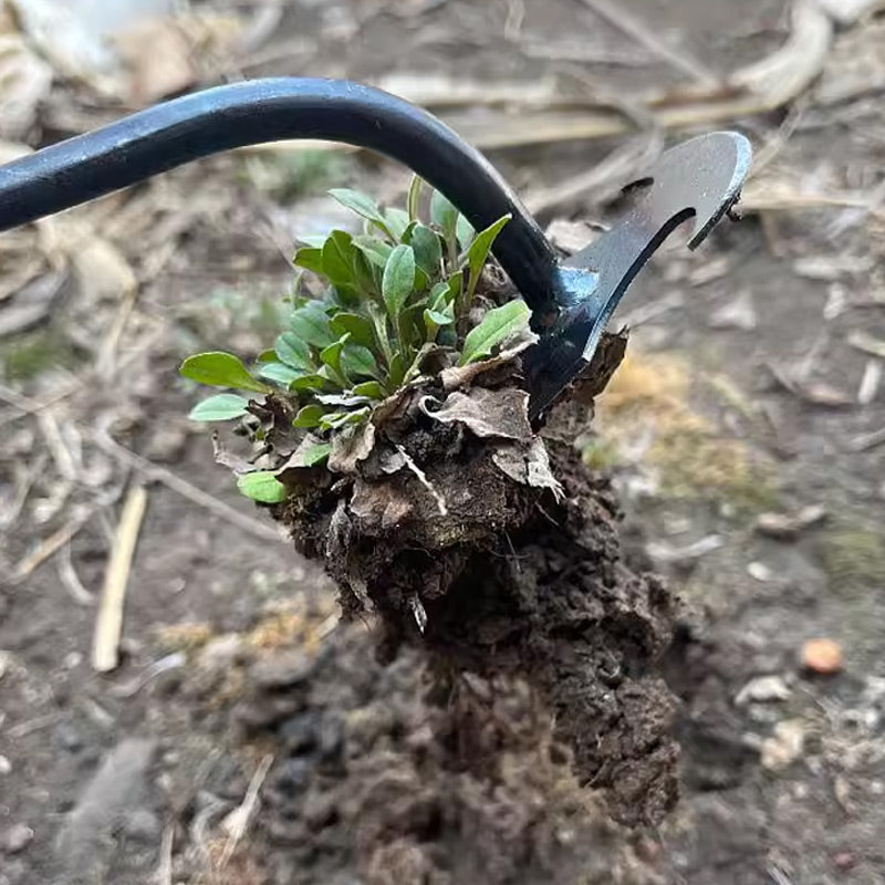 🔥VENTE CHAUDE 50% DE RÉDUCTION🔥Outil de désherbage manuel de jardinage