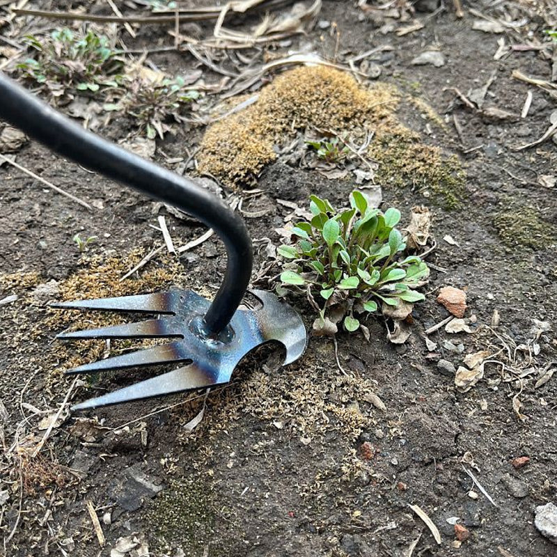 🔥VENTE CHAUDE 50% DE RÉDUCTION🔥Outil de désherbage manuel de jardinage