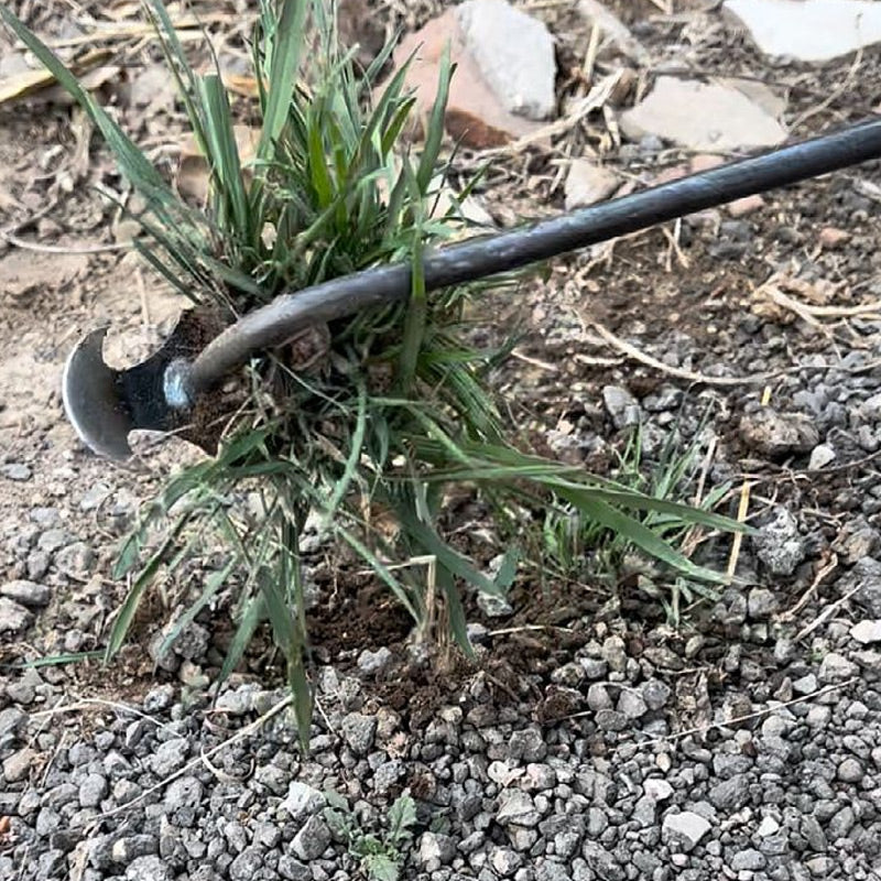 🔥VENTE CHAUDE 50% DE RÉDUCTION🔥Outil de désherbage manuel de jardinage