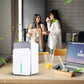 Déshumidificateur Ntelligent - 220 V Avec Voyants LED Multicolores et Minuterie Automatique - Faible Consommation D'énergie et Fonctionnement Silencieux - Idéal Pour Les Chambres à Coucher et Les Caves