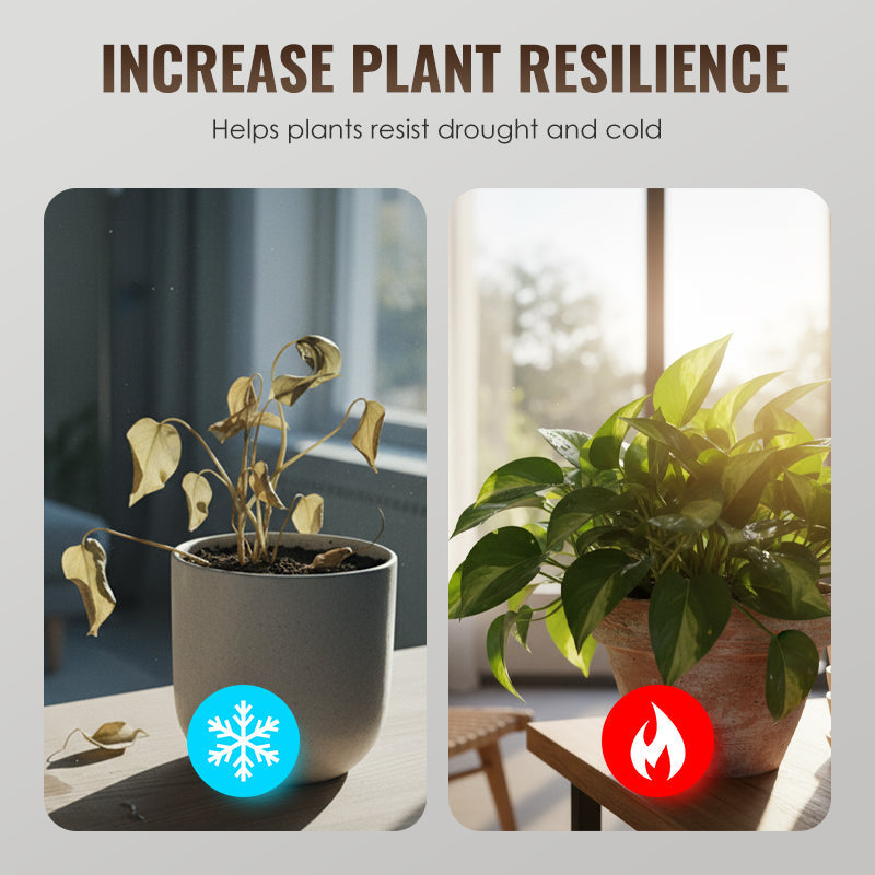 🌱 Activateur universel pour racines de plantes et amendement pour sols 💪