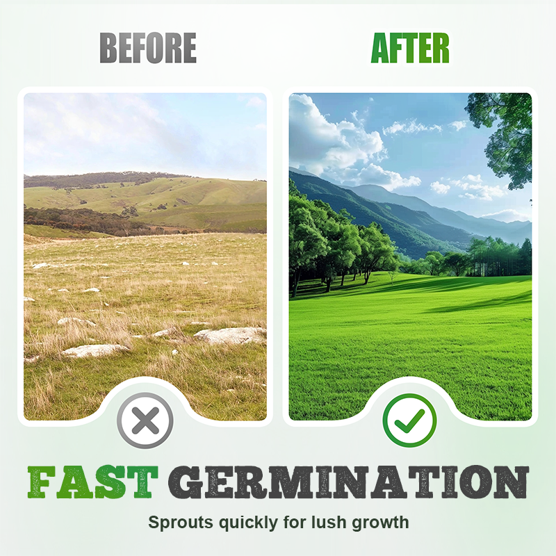 Graines de gazon résistantes au froid, à la sécheresse et adaptées aux animaux domestiques - graines de gazon à feuilles persistantes